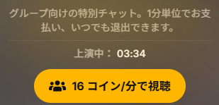 グループチャット 16コイン/分